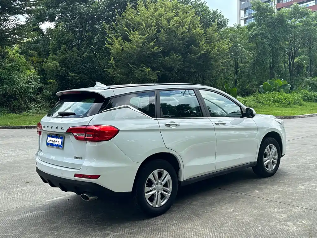 HAVAL  M6