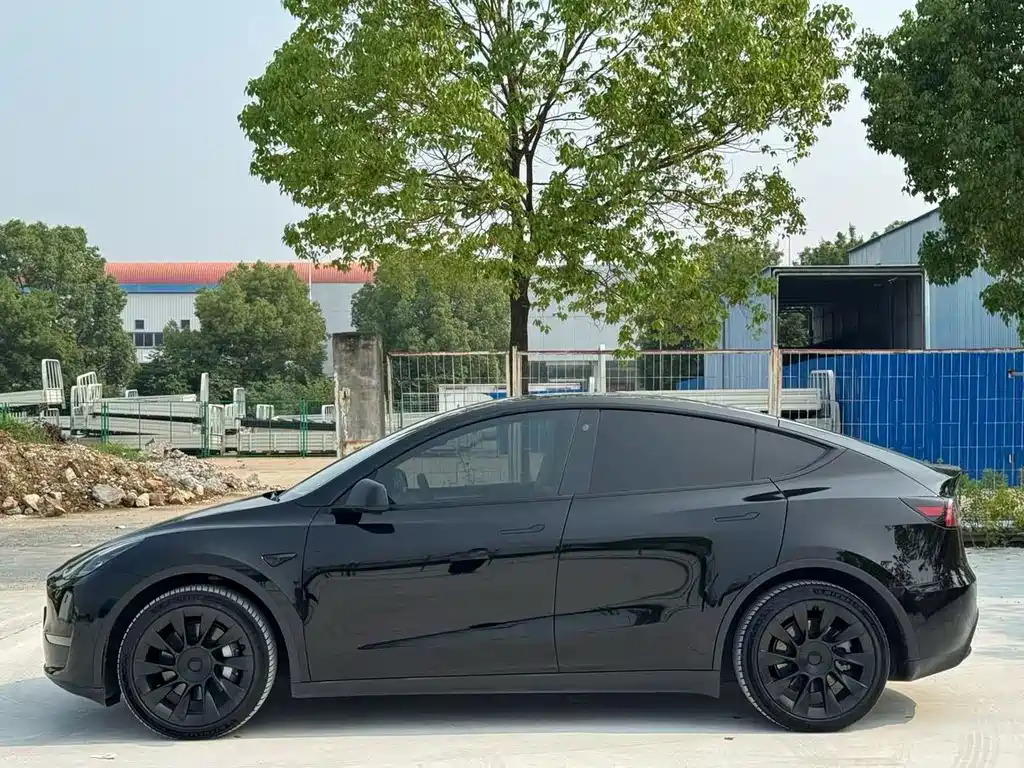 Tesla Model Y — миниатюра 3