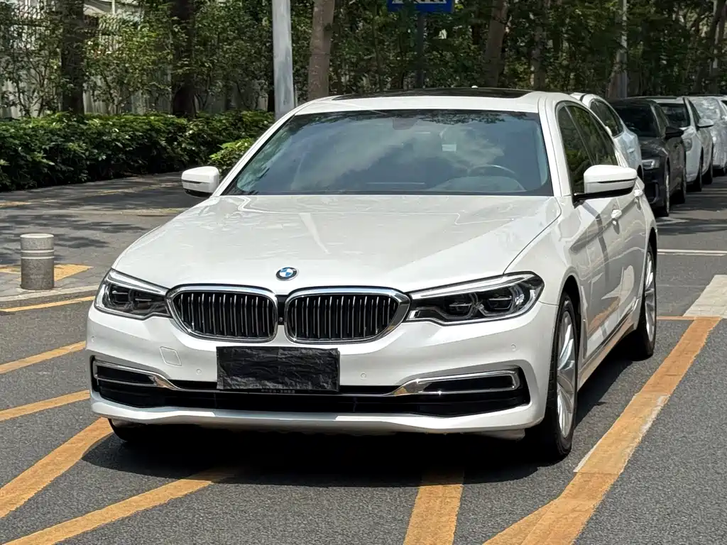 BMW 5 Series 5 2020 530Li Premium Luxury