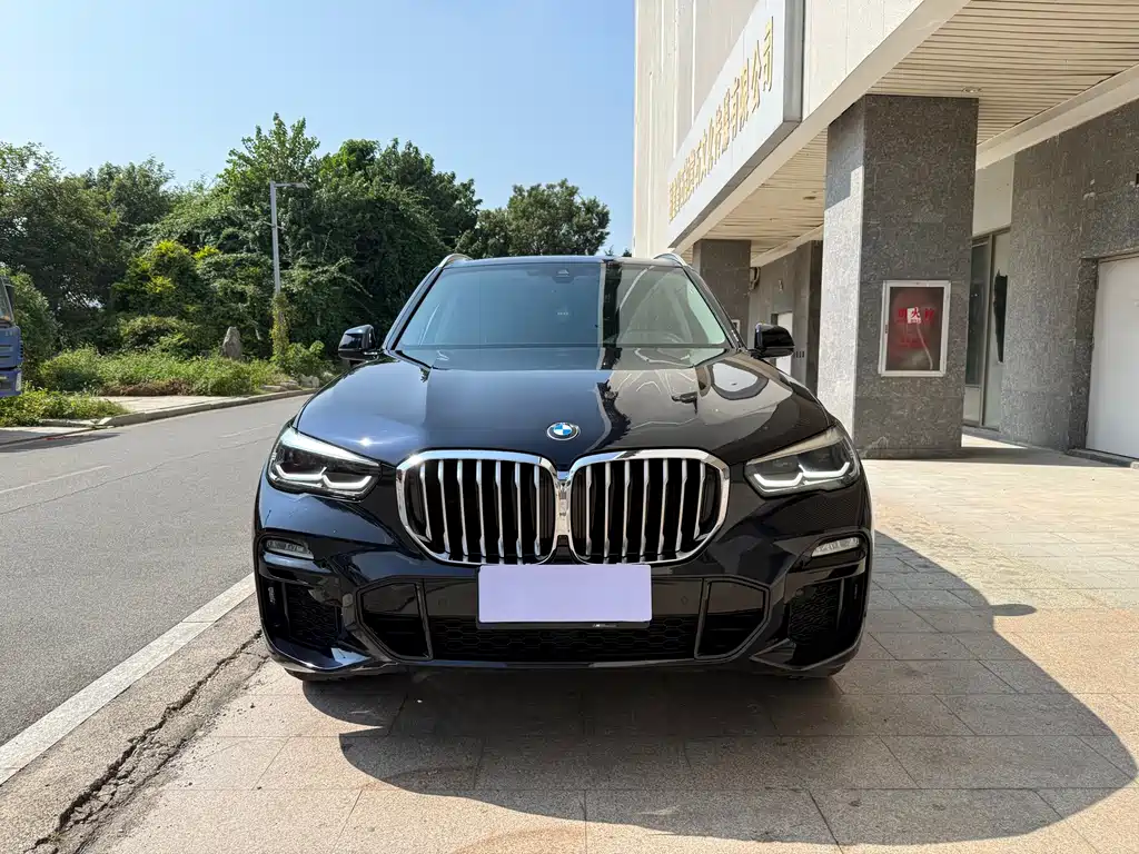 BMW X5 (Import) — миниатюра 2