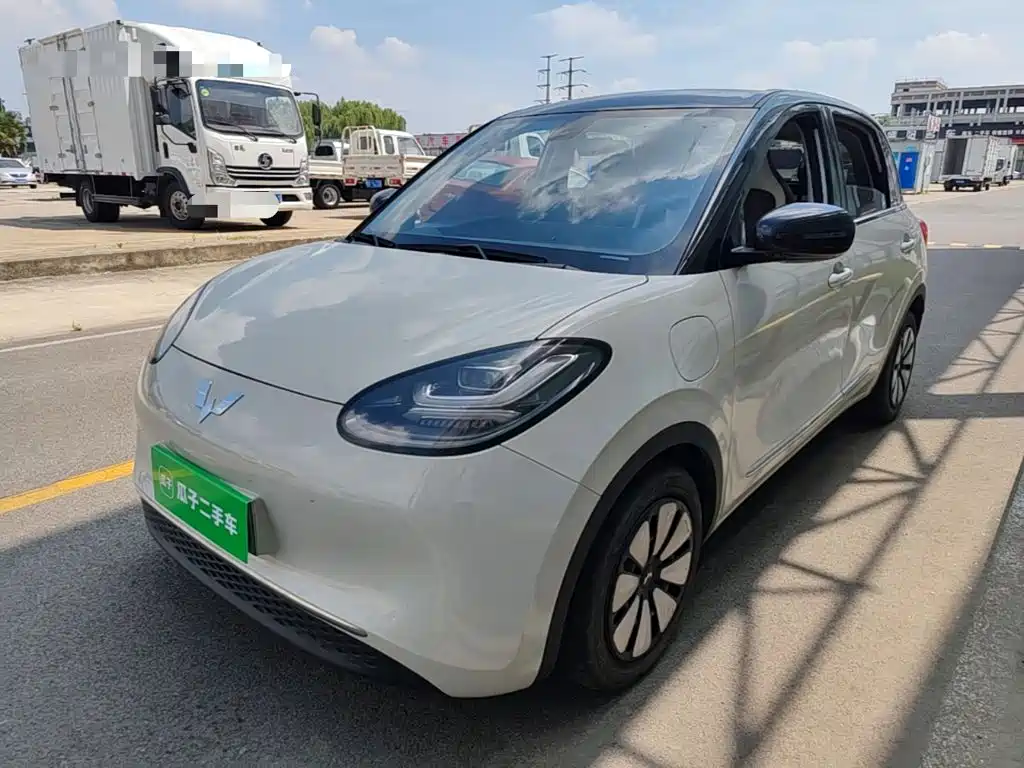 Wuling Bingo
