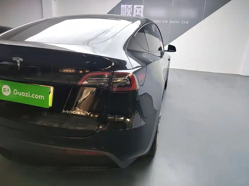 Tesla Model Y — миниатюра 8