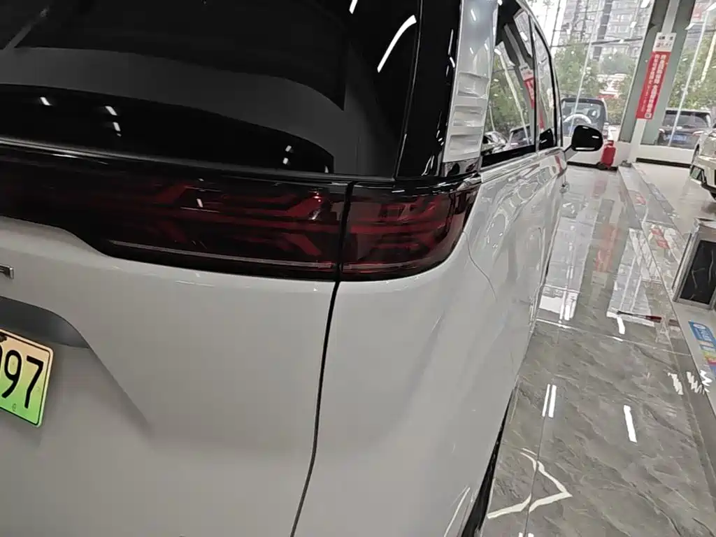 Denza Denza D9 — миниатюра 8
