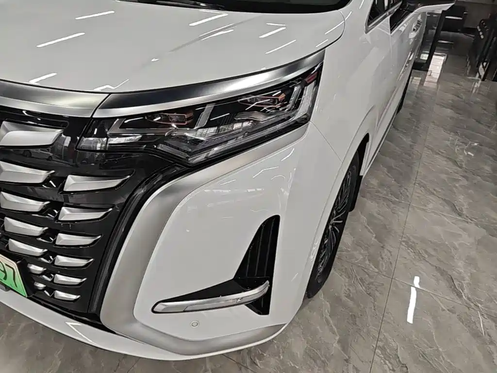 Denza Denza D9 — миниатюра 24