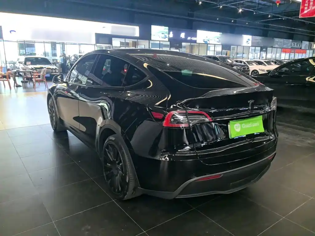 Tesla Model Y — миниатюра 5
