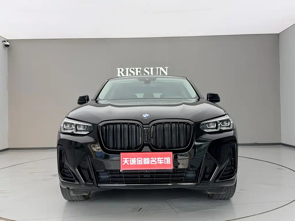 BMW X4 — миниатюра 2