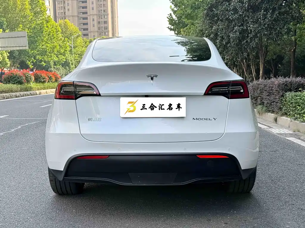 Tesla Model Y — миниатюра 9