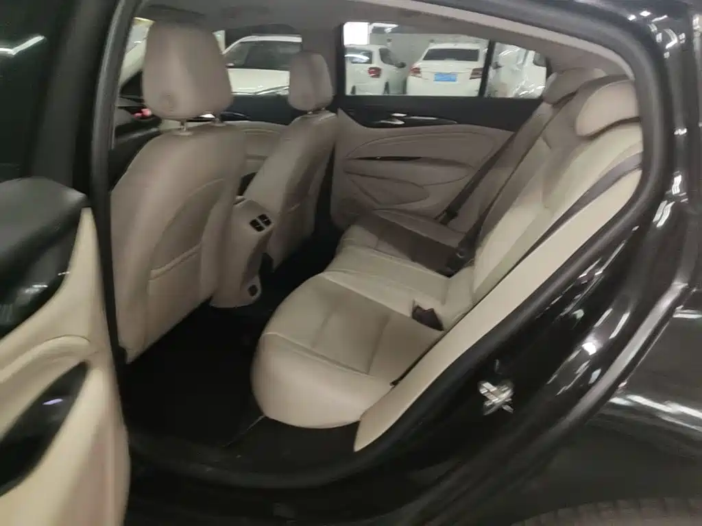 Buick Regal — миниатюра 17