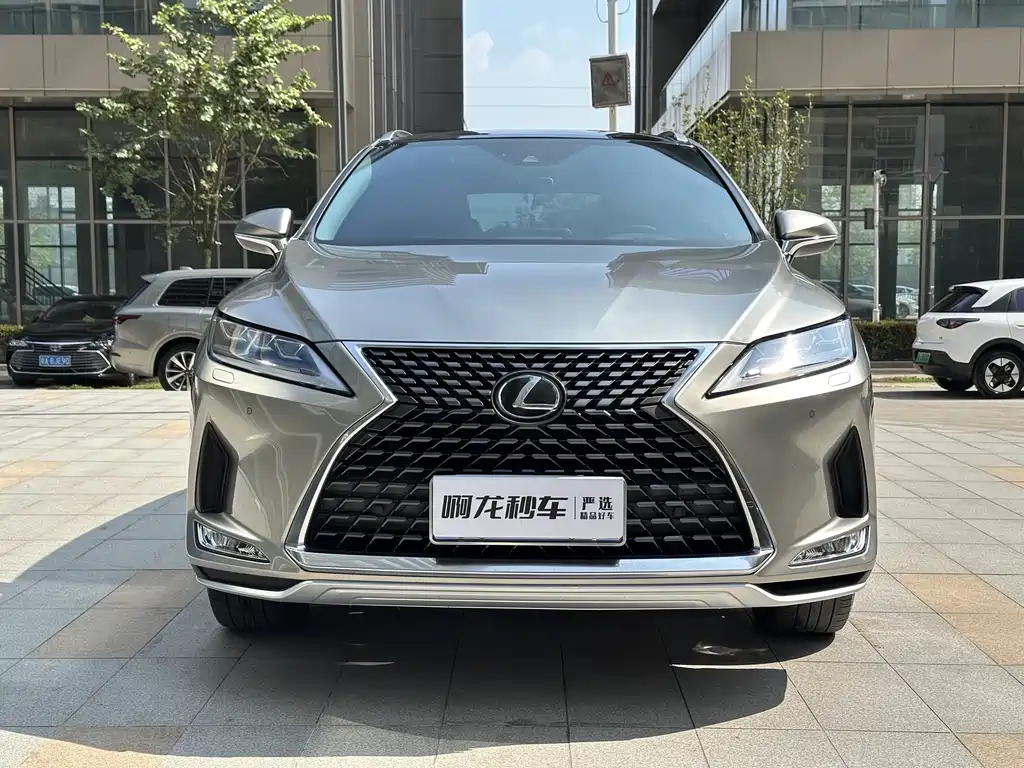 LEXUS  RX