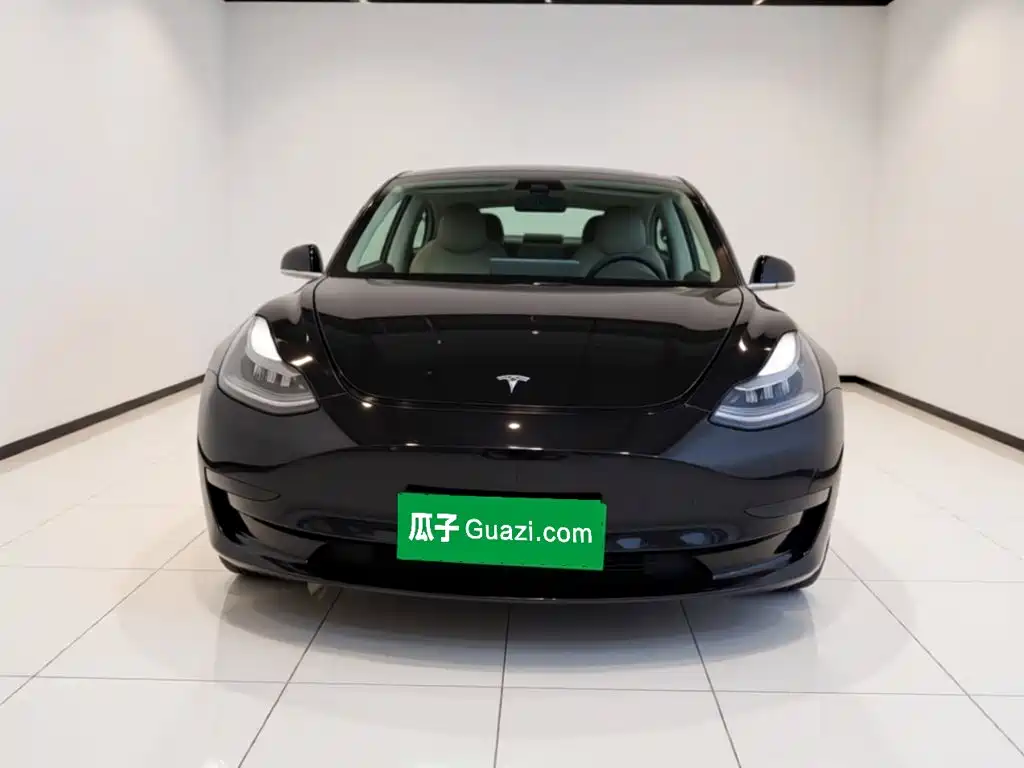 Tesla Model 3 — миниатюра 2