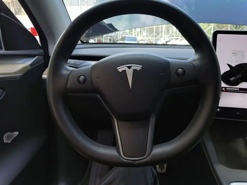 Tesla Model Y — миниатюра 11