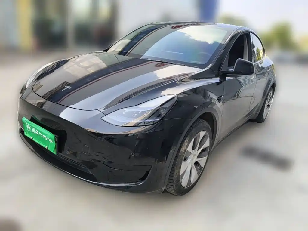 Tesla Model Y — миниатюра 3