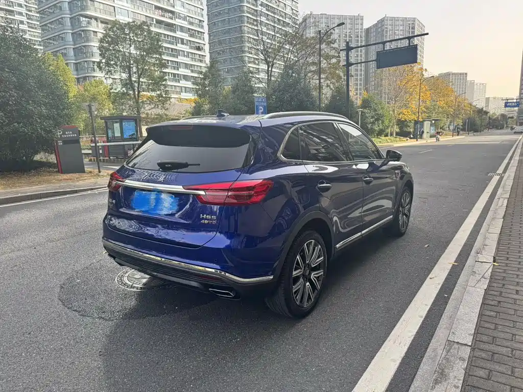 Hongqi Hongqi HS5 — миниатюра 9