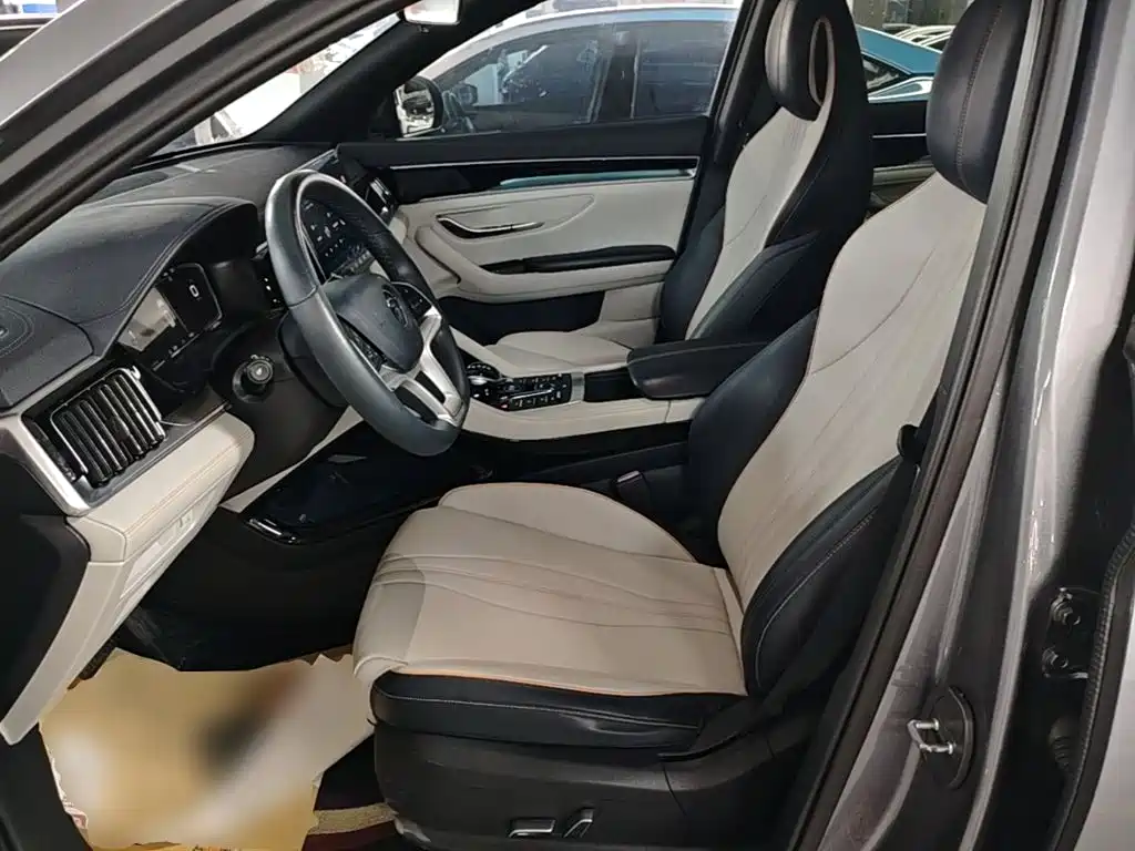 BYD PLUS New Energy — миниатюра 15