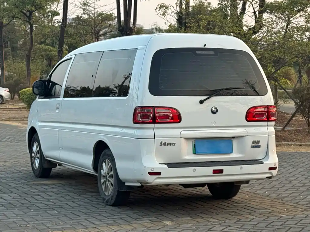DONGFENG LINGZHI NEW ENERGY