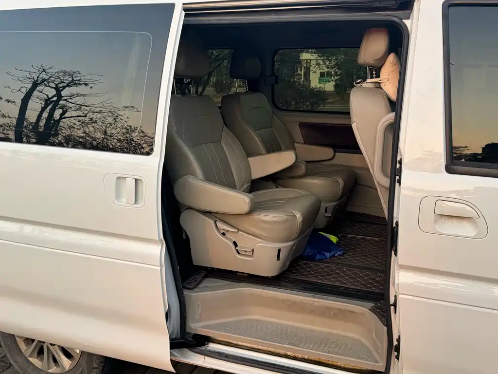 DONGFENG LINGZHI NEW ENERGY