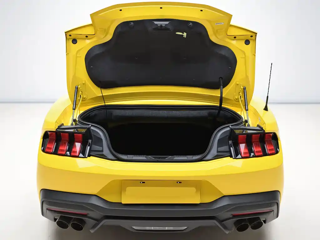 Ford Mustang — миниатюра 10