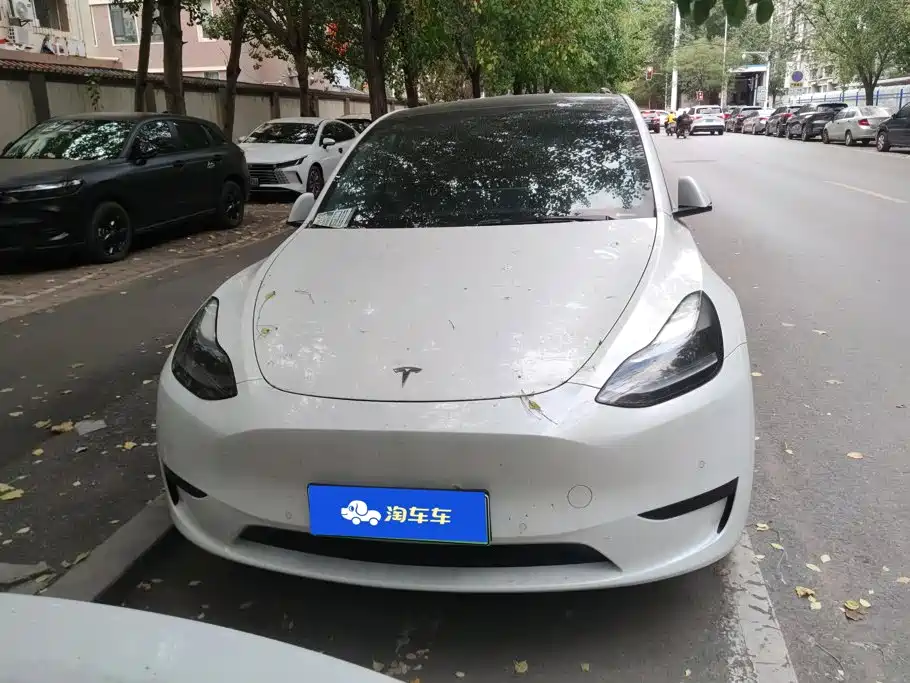 Tesla Model Y — миниатюра 2