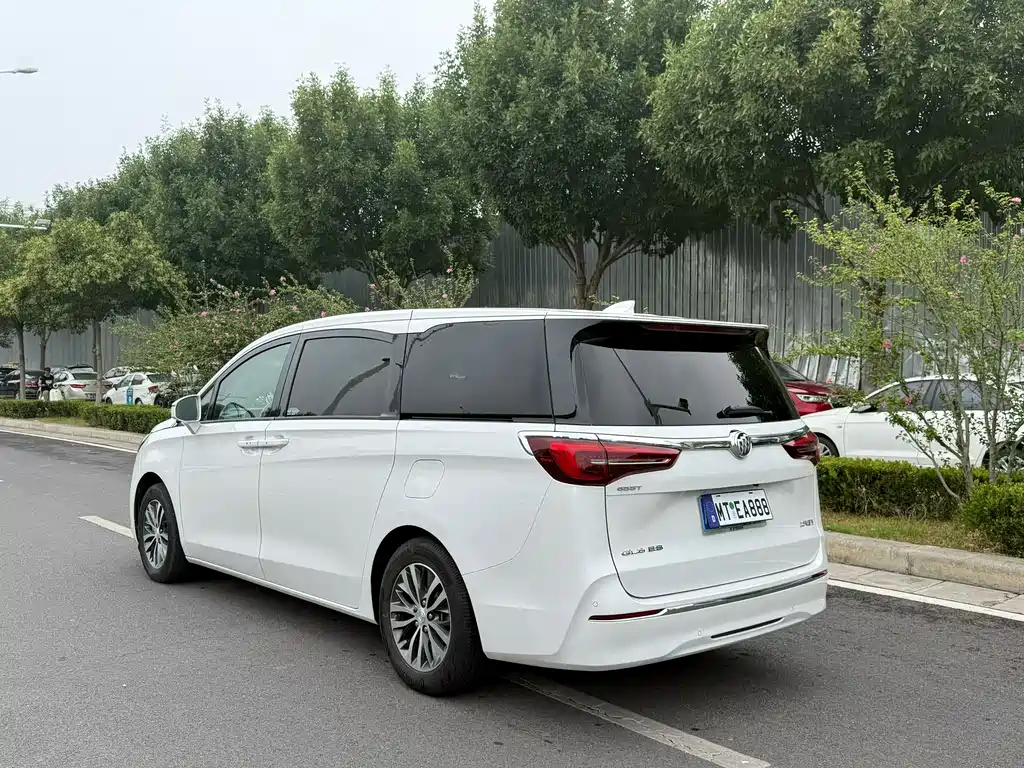 Buick GL8 — миниатюра 7