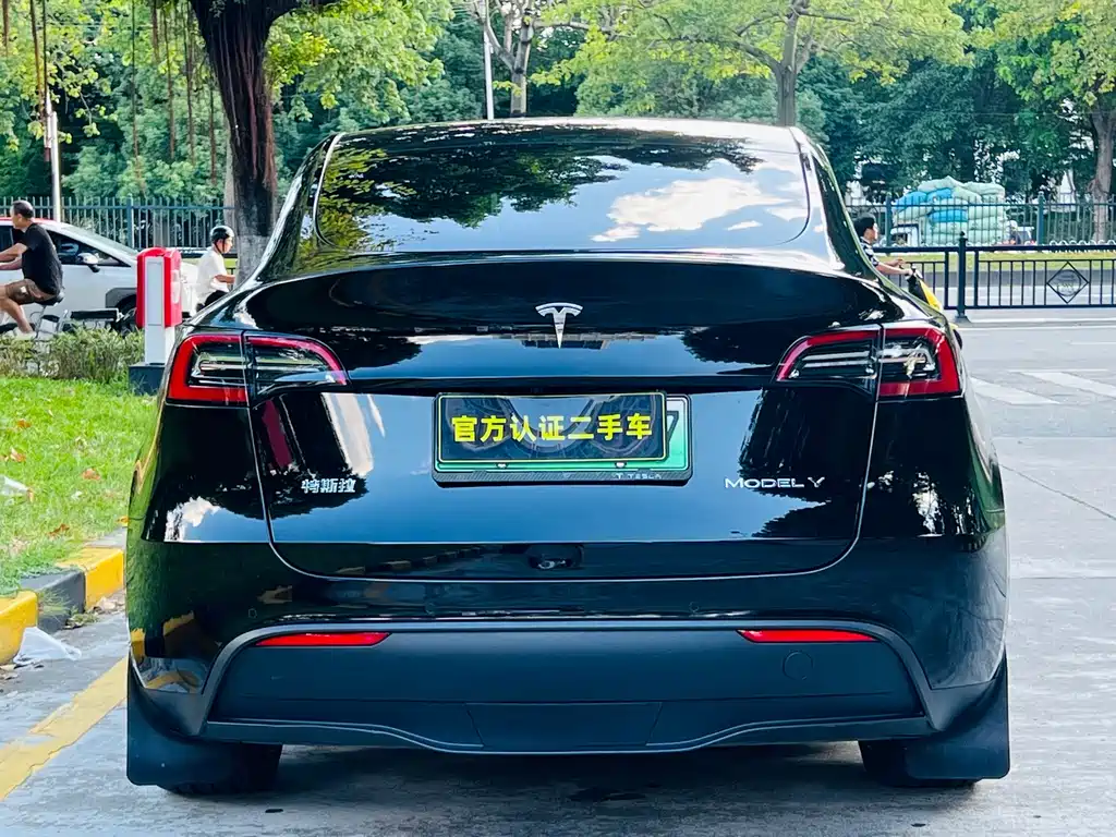 Tesla Model Y — миниатюра 5