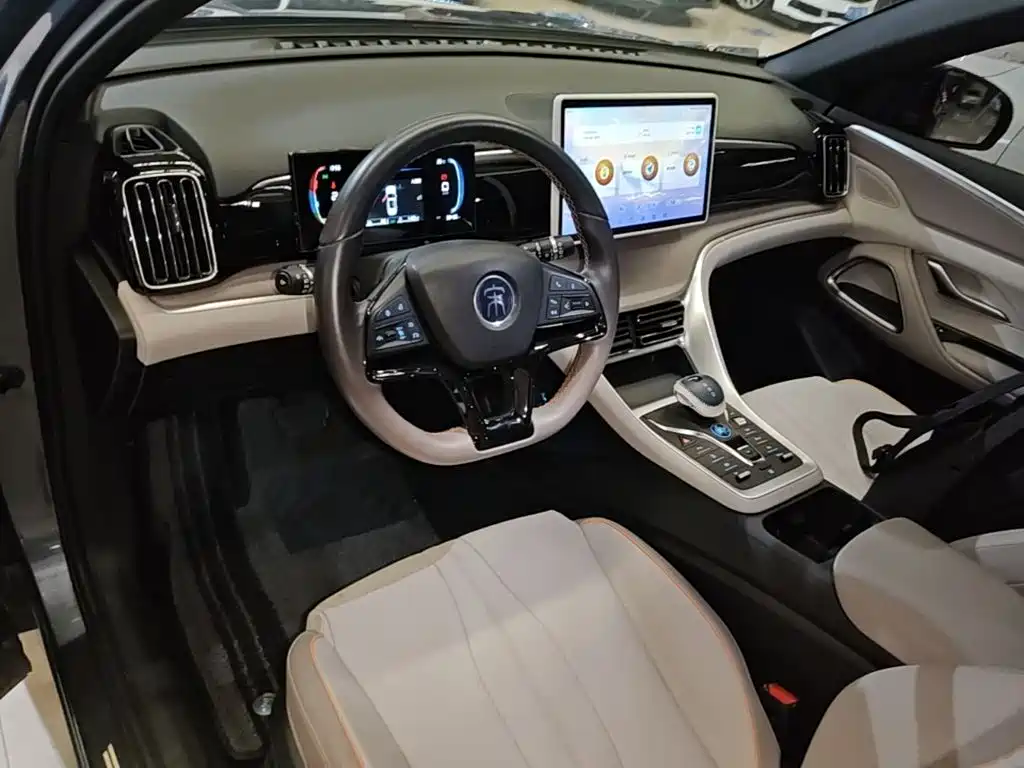 BYD Pro New Energy — миниатюра 10