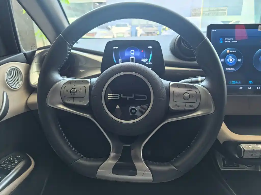 BYD Dolphin — миниатюра 8