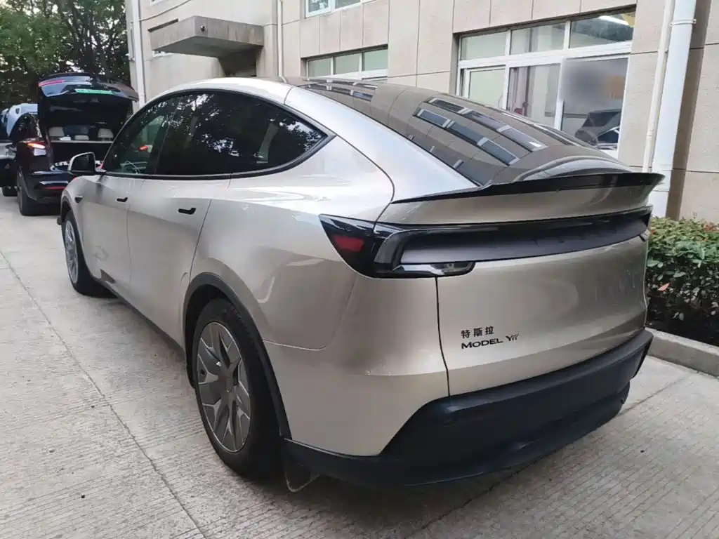 Tesla Model Y L — миниатюра 5