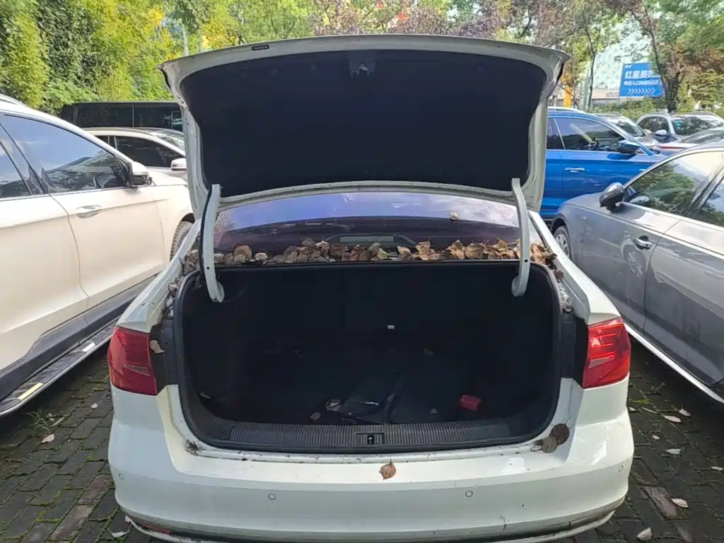 Volkswagen Bora — миниатюра 19