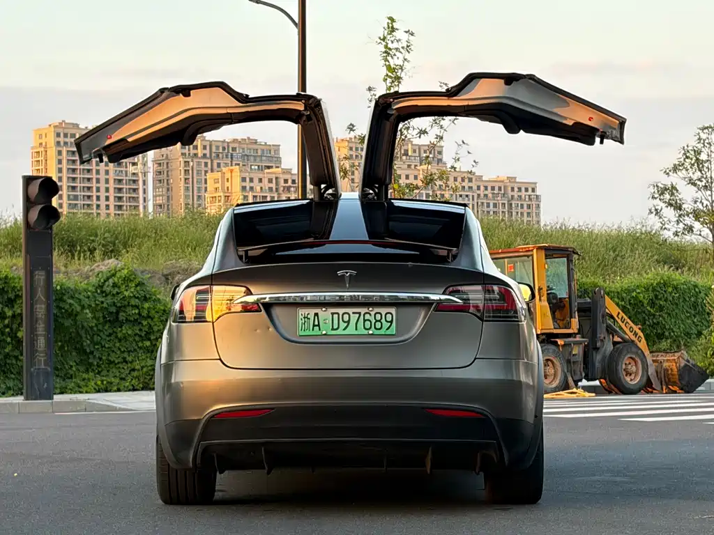 Tesla Model X — миниатюра 5