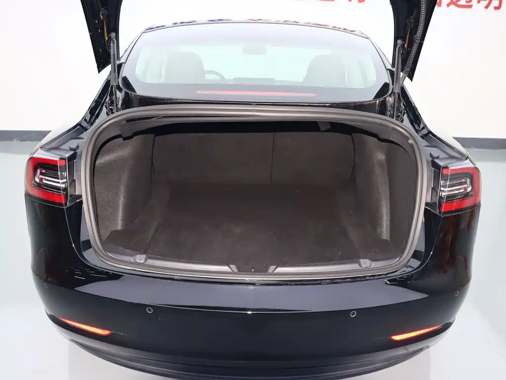 Tesla Model 3 — миниатюра 16