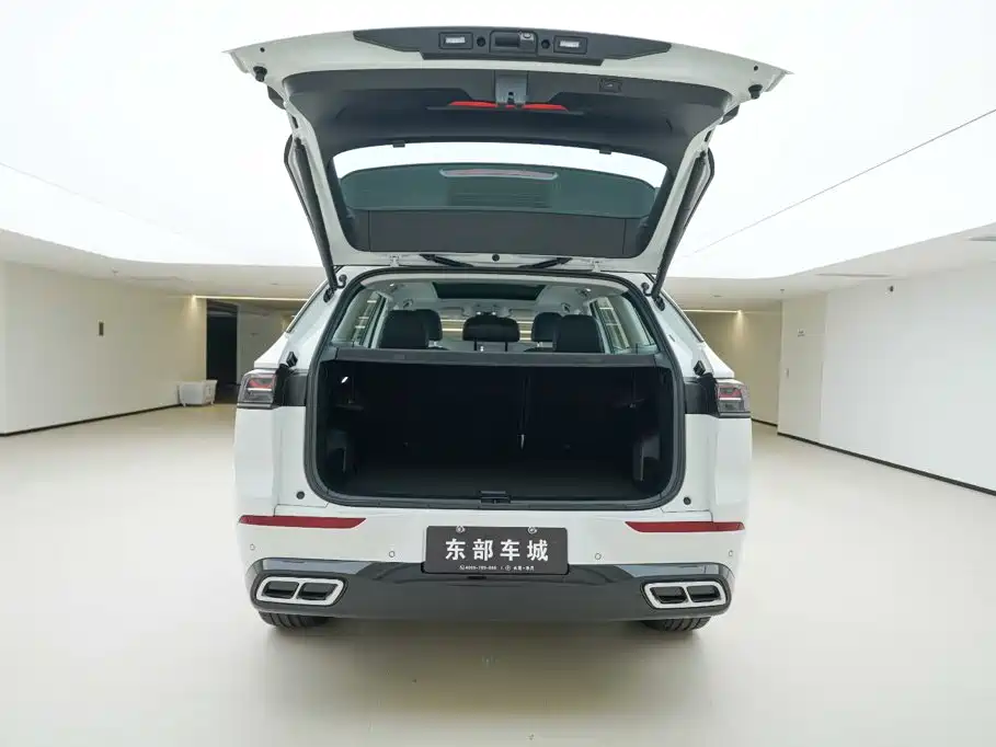 Volkswagen Tavendor — миниатюра 5