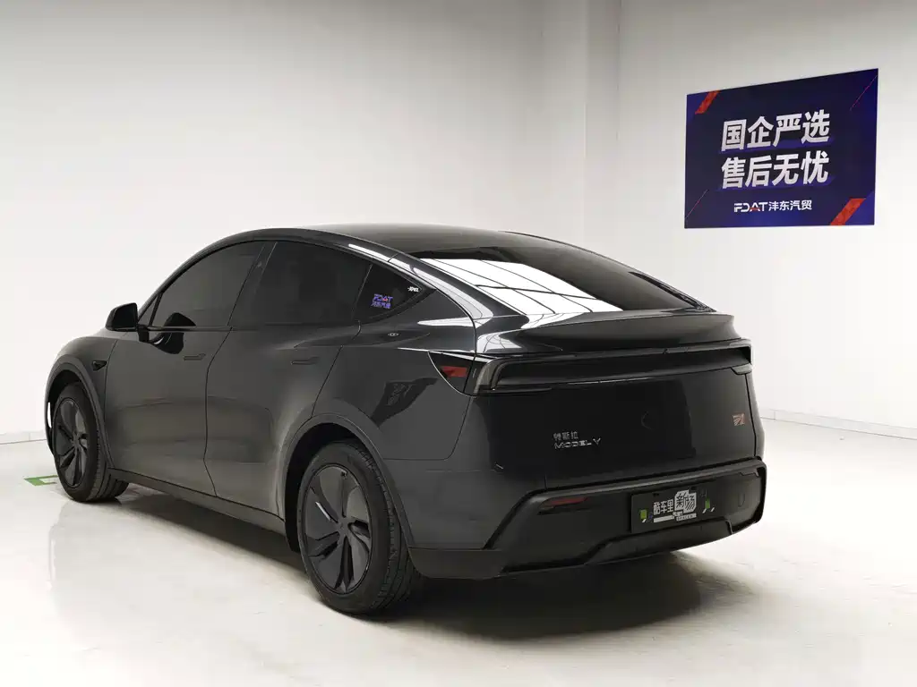Tesla Model Y — миниатюра 6