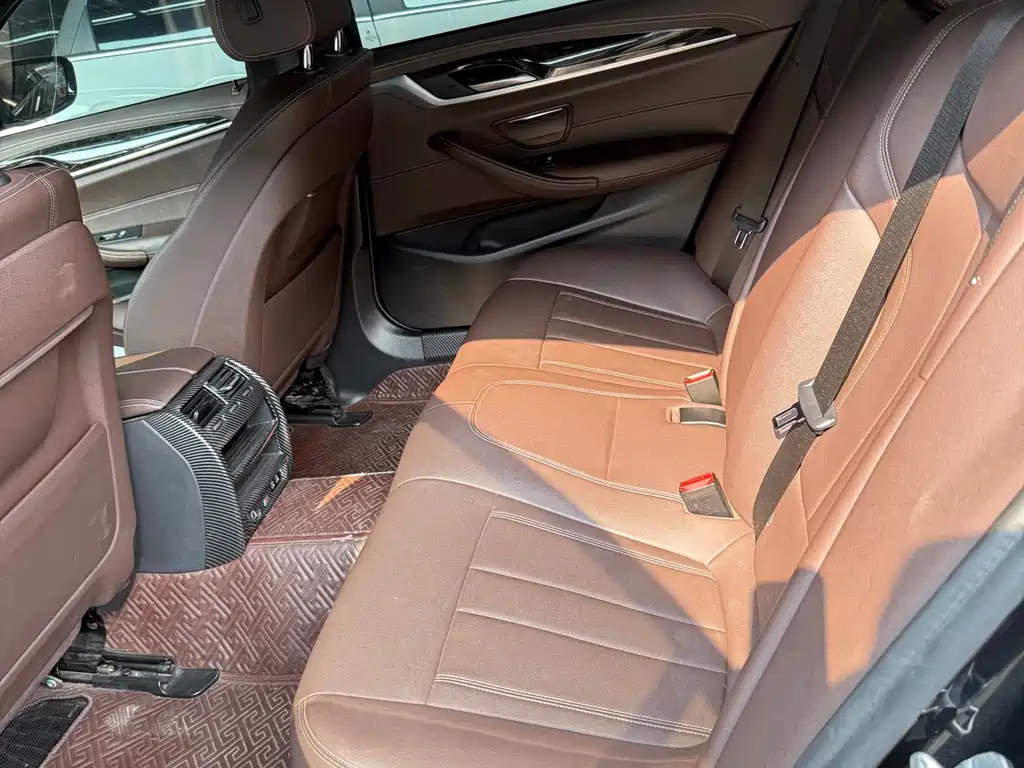 BMW 5 Series 5 2020 525Li M Sport