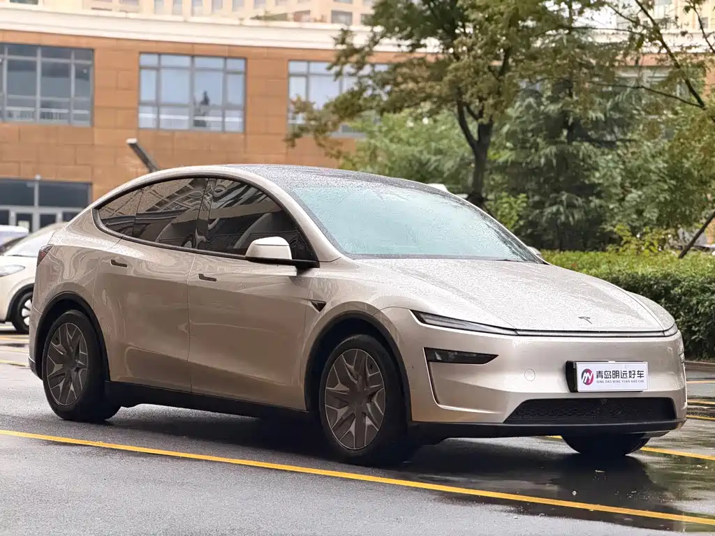 Tesla Model Y L — миниатюра 3