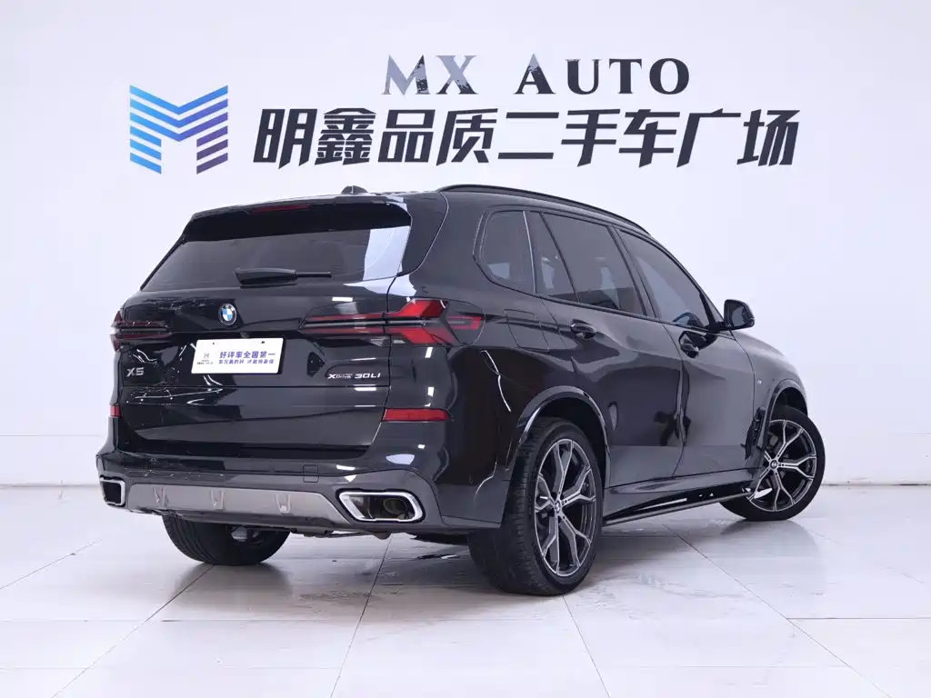 BMW X5 — миниатюра 7