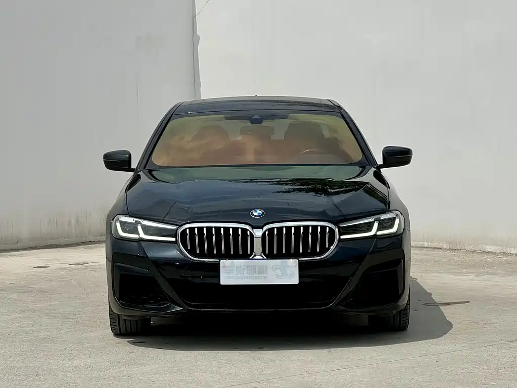 BMW 5 Series — миниатюра 2