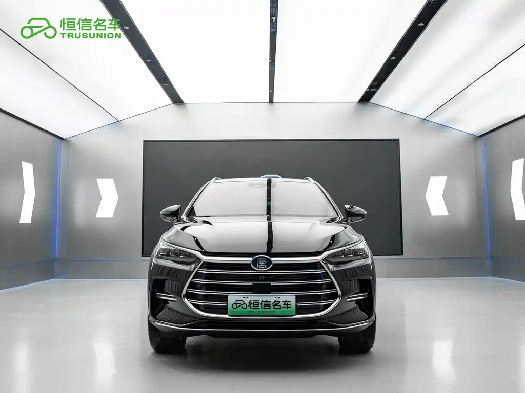 BYD Tang New Energy — миниатюра 2