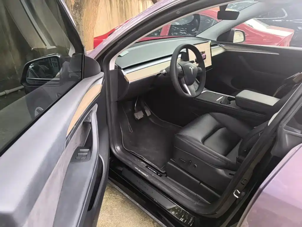 Tesla Model Y — миниатюра 16