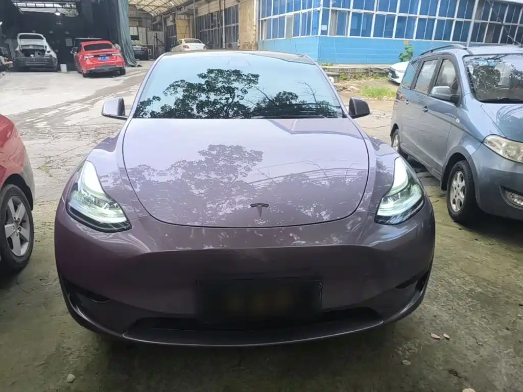 Tesla Model Y — миниатюра 3