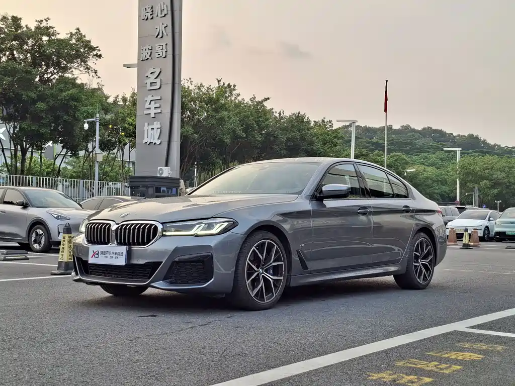 BMW 5 Series (Import)