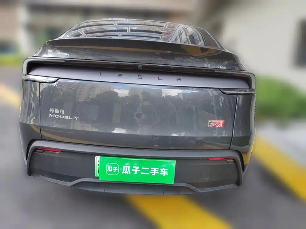 Tesla Model Y — миниатюра 3