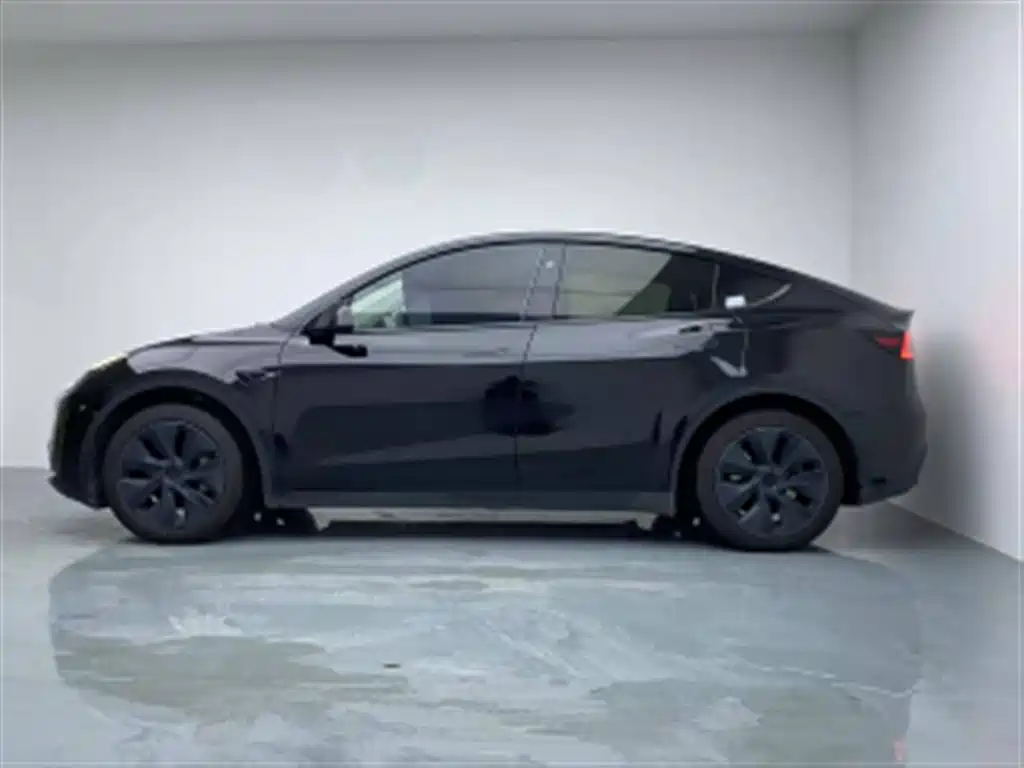 Tesla Model Y — миниатюра 2