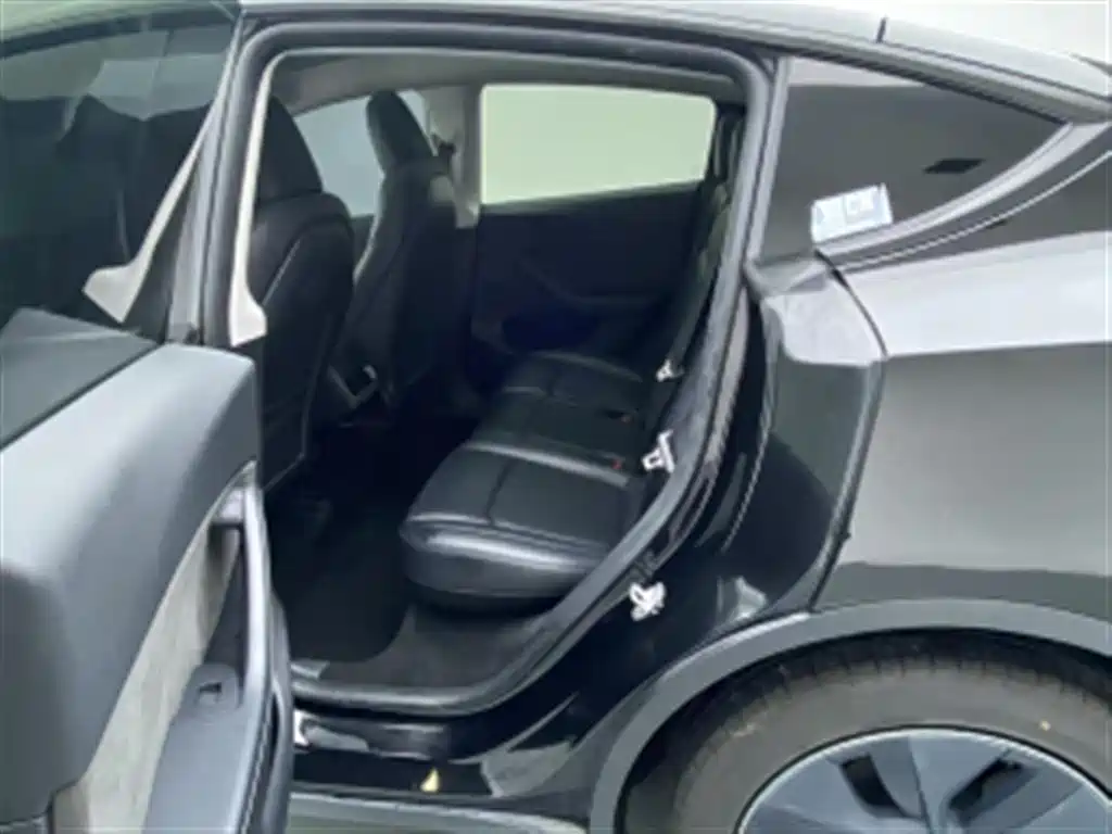 Tesla Model Y — миниатюра 8
