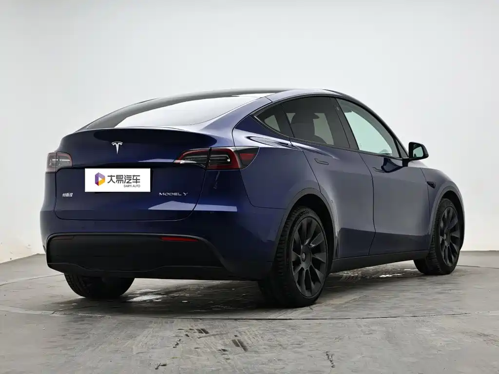 Tesla Model Y — миниатюра 3