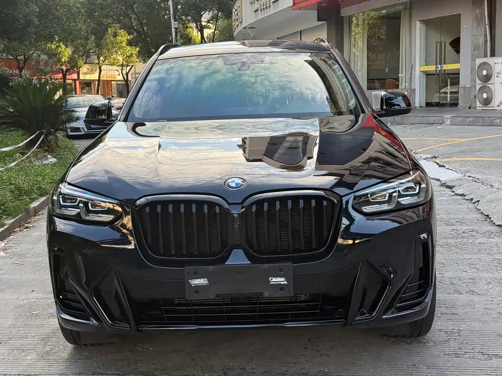 BMW X3 — миниатюра 2