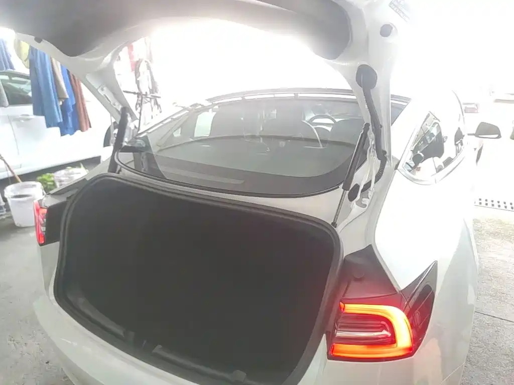 Tesla Model 3 — миниатюра 19