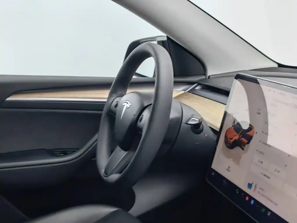 Tesla Model Y — миниатюра 22