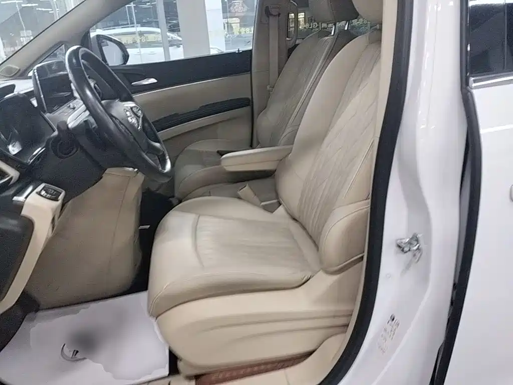 Buick GL8 — миниатюра 15