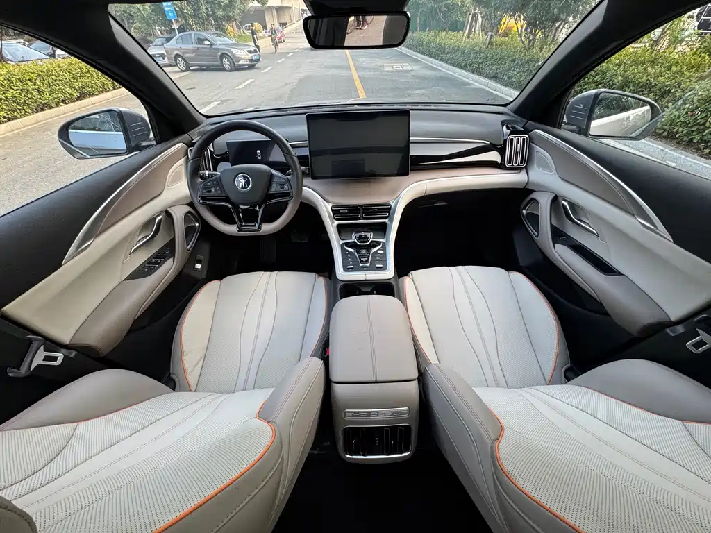 BYD Pro New Energy — миниатюра 6