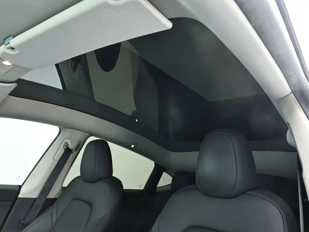 Tesla Model Y — миниатюра 13